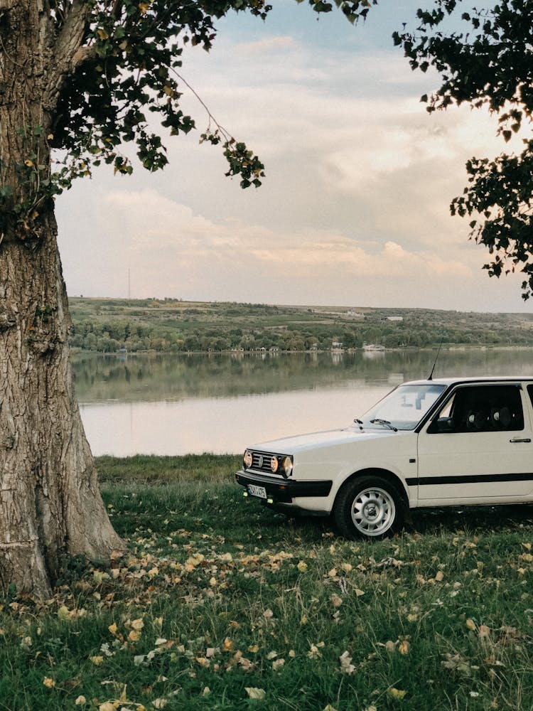 White Car Parked Beside Tree Near Body Of Water