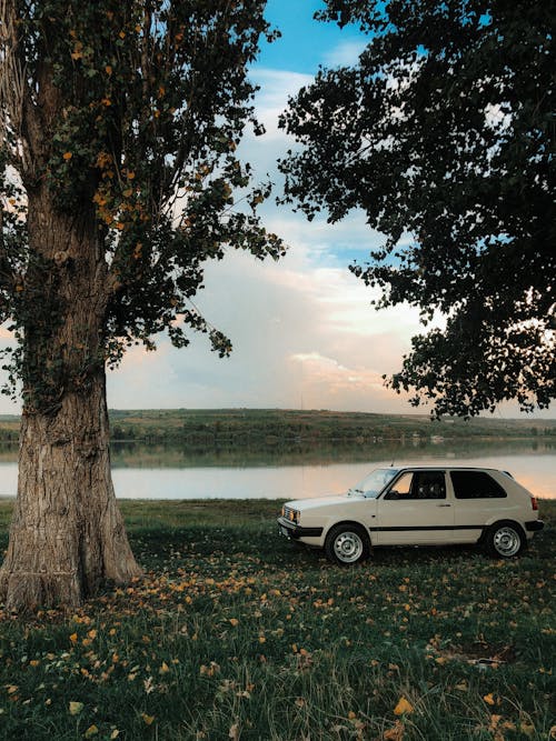 White Car Parked Beside Tree Near Body of Water