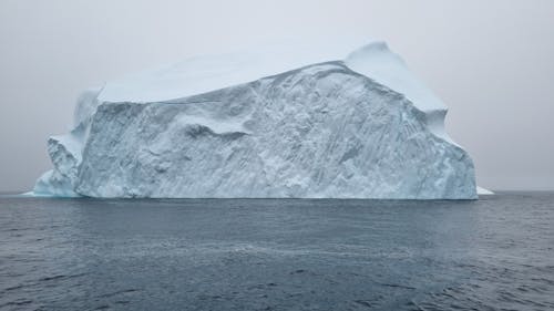 bezplatná Základová fotografie zdarma na téma Arktida, detail, globální oteplování Základová fotografie