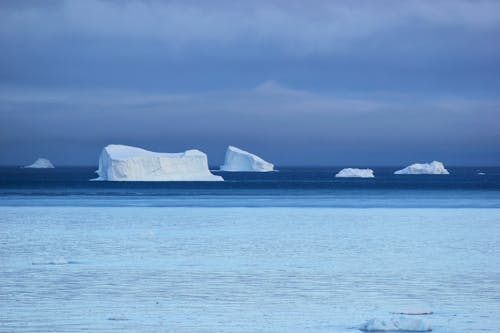 What Happens Beneath the Ocean During Polar Winters