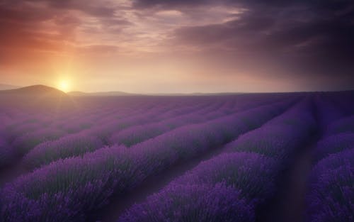 Photos gratuites de agriculture, clairière, coucher de soleil