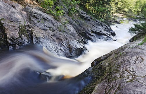 Foto d'estoc gratuïta de arbres, bosc, cascada