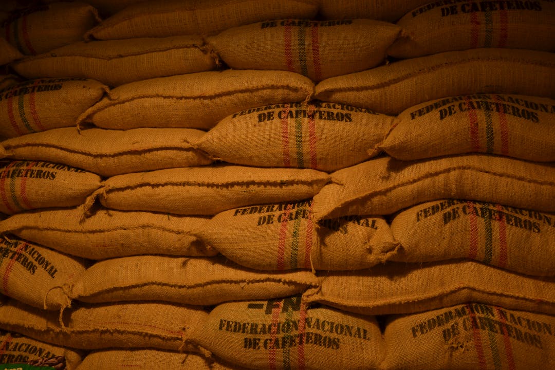 Export Logistics & Cold-chain