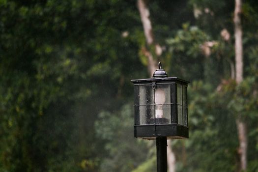 A close-up of a wet metal lamppost in a lush, rainy forest setting in Santa Rosa de Cabal, Colombia.