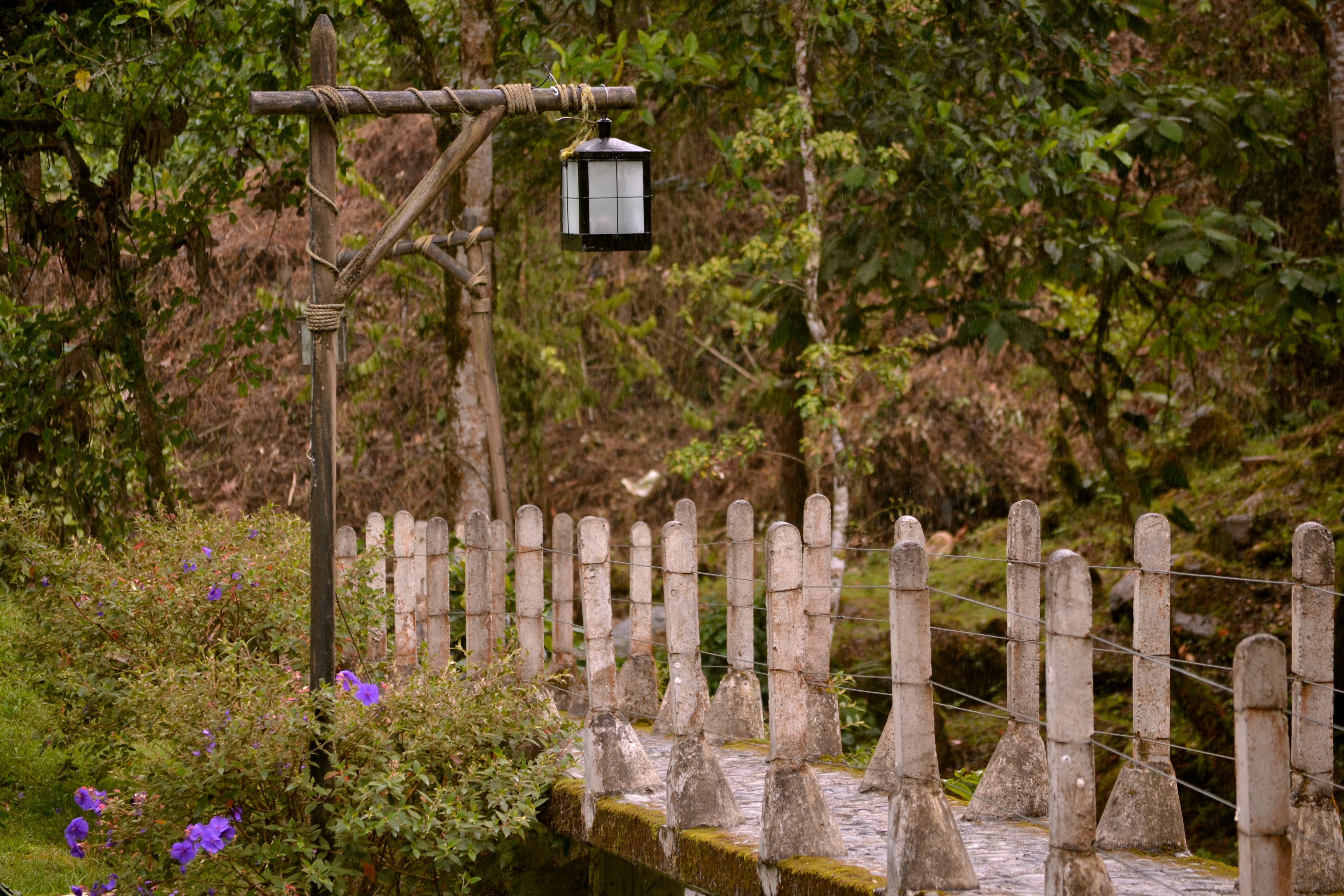 Rustic bridge and lamp post in Santa Rosa de Cabal, Colombia forest.
