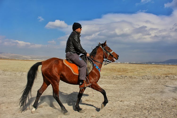 Man In Black Leather Jacket Riding A Horse