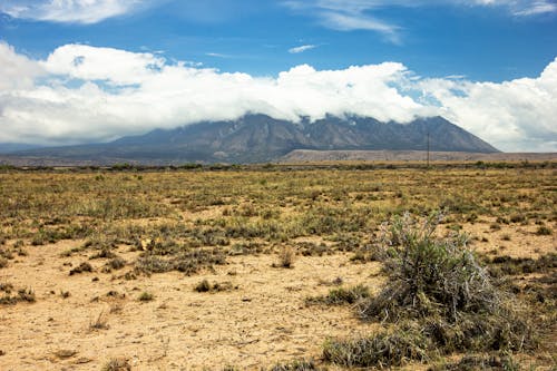 Immagine gratuita di arido, deserto, erba