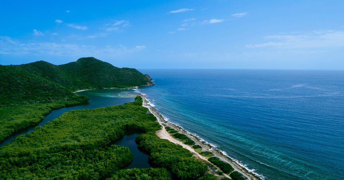 Los 10 parques nacionales más grandes de Honduras y su patrimonio natural Los 10 parques nacionales más grandes de Honduras y su patrimonio natural
