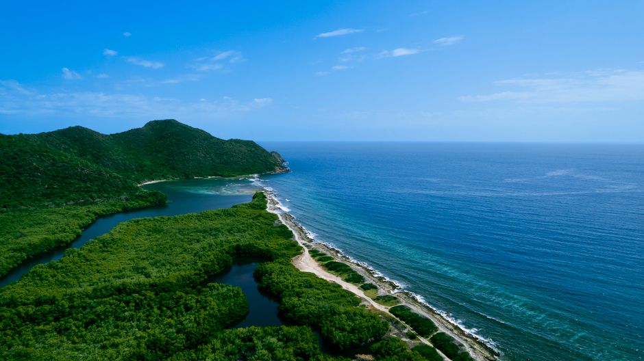 Oil Spill Exposes Border Regimes and Coastal Damage