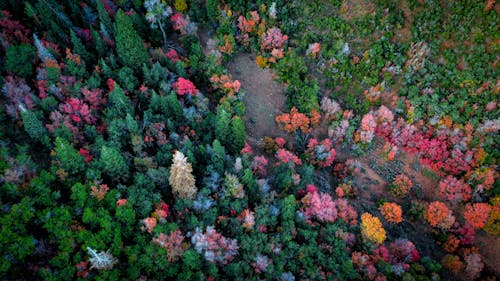 Darmowe zdjęcie z galerii z dron, fotografia krajobrazowa, fotografia z drona