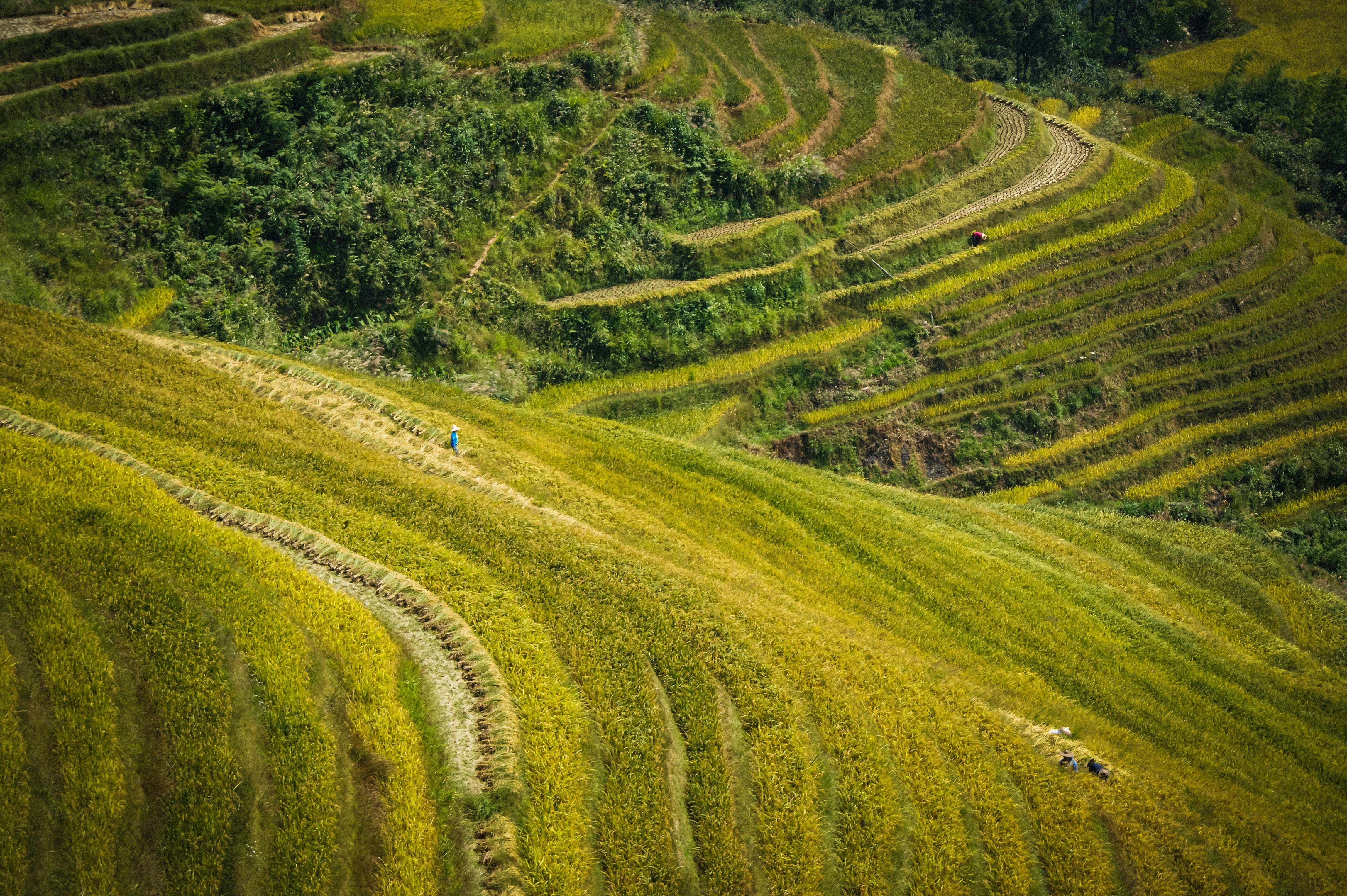 totoosart landscape photography