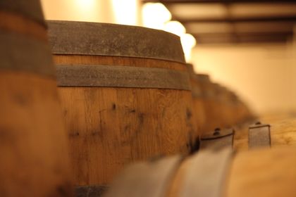 Rustic casks lining a cellar aisle — photo by Clement Lepetit on Pexels