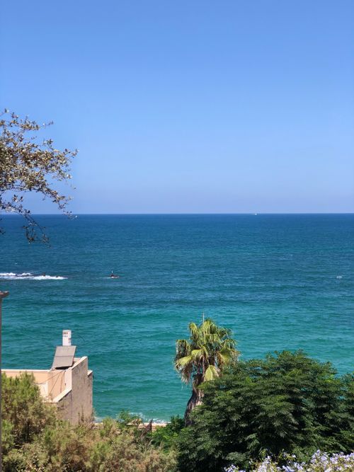 Free Serene ocean view with greenery under a vibrant blue sky, perfect for travel or nature themes. Stock Photo