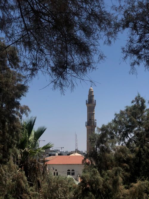 Free A minaret rising through tree branches under a clear blue sky. Stock Photo