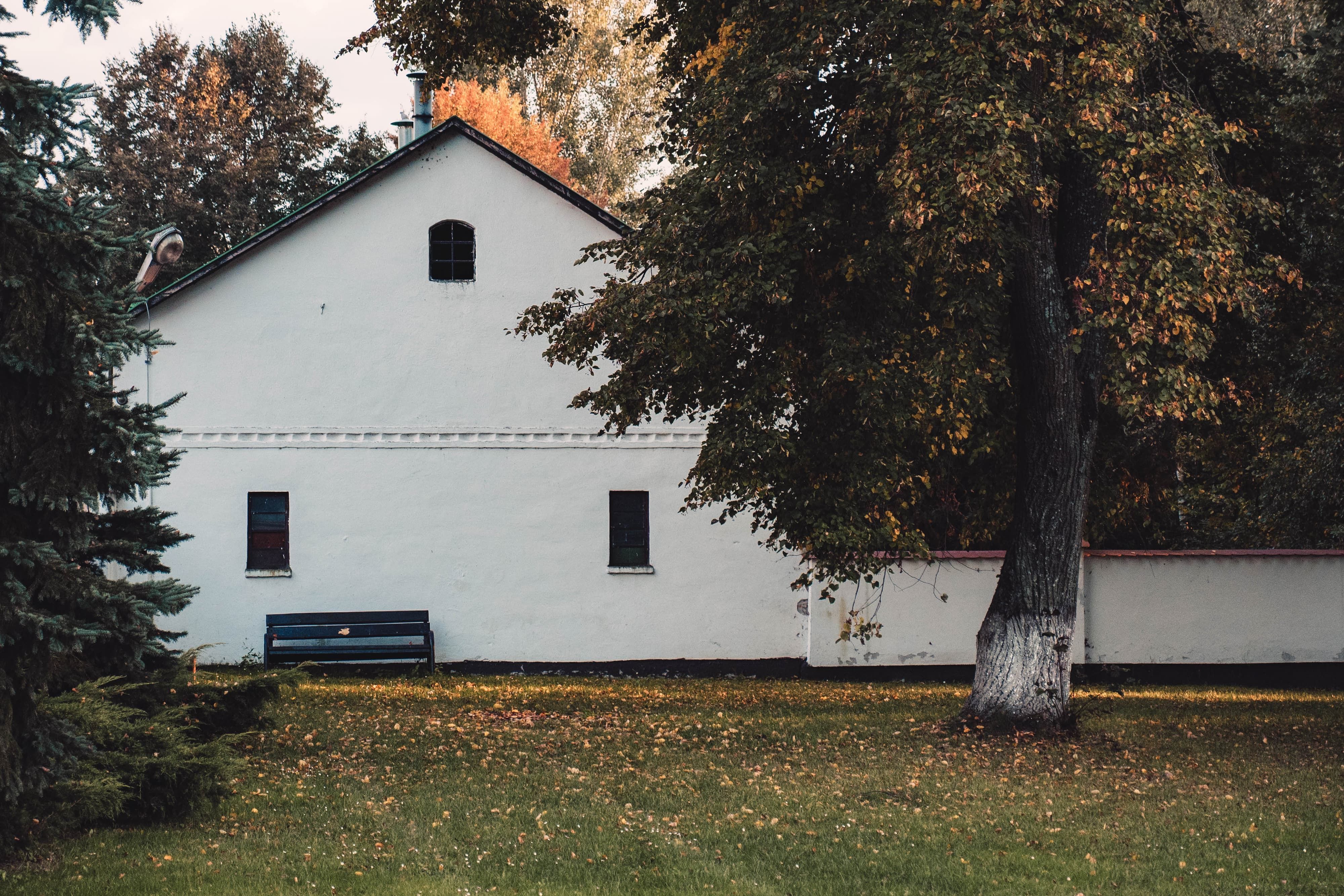 White and Black House Near Green Trees · Free Stock Photo