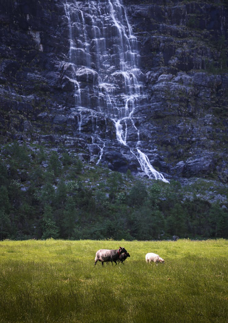 A Scenic Waterfall In Lysebotn, Norway