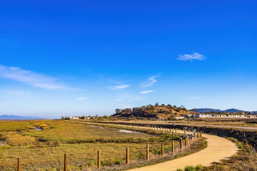 Fotos de stock gratuitas de camino de tierra, campo, paisaje