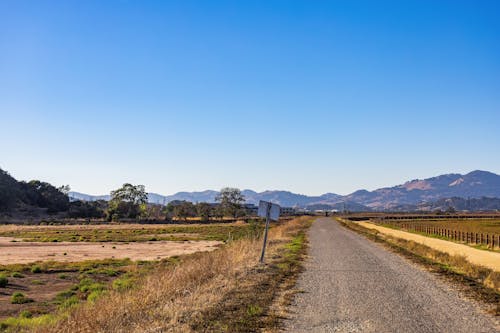 Unpaved Road Between Farmlands Under Blue Sky