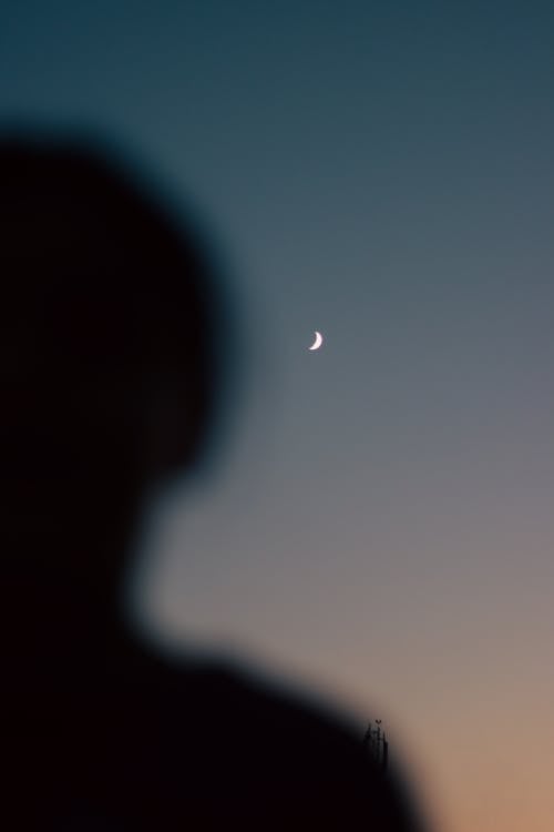 Ücretsiz akşam, ay, dikey atış içeren Ücretsiz stok fotoğraf Stok Fotoğraflar