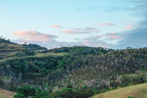 THE BEAUTIFUL "PICADA" VIEW