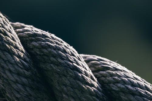 Grayscale Photo of Rope on Log · Free Stock Photo