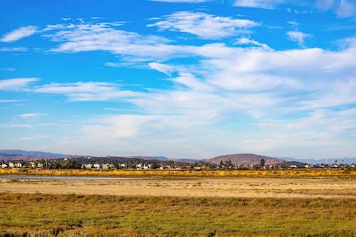 Brown Grass Field Under Blue Sky and White Clouds