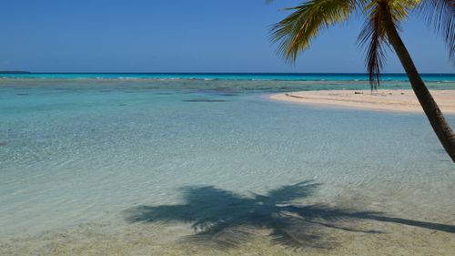 Free Serene tropical beach with clear water and palm tree shadow under a sunny sky. Stock Photo