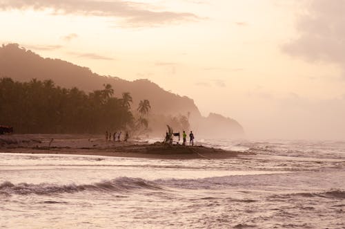 Безкоштовне стокове фото на тему «березі моря, Захід сонця, люди»