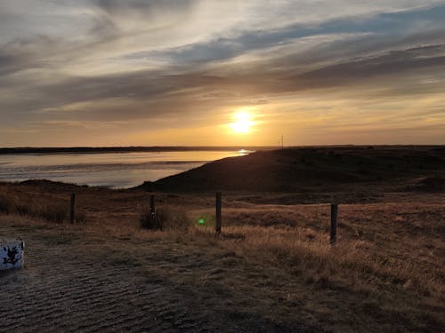 Kostnadsfri bild av gräs, solnedgång, trästolpar