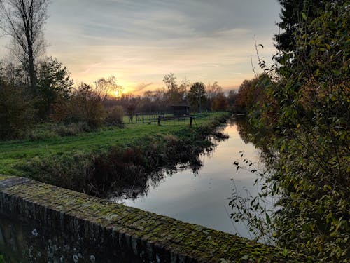 Kostnadsfri bild av flod, rusande vatten, skogs natur