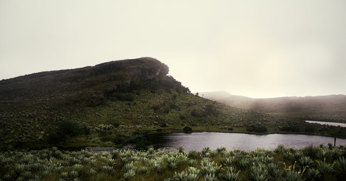 ¿Cómo se protege el páramo en Ecuador y por qué es clave para el agua? ¿Cómo se protege el páramo en Ecuador y por qué es clave para el agua?