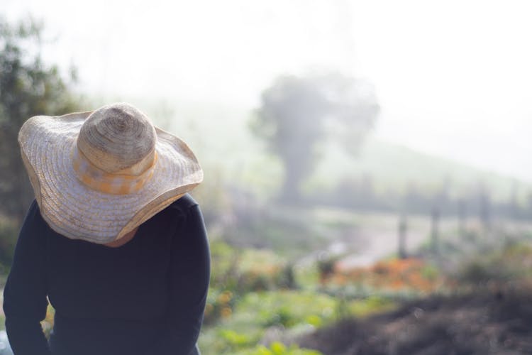 Photo Of A Farmer With A Hat