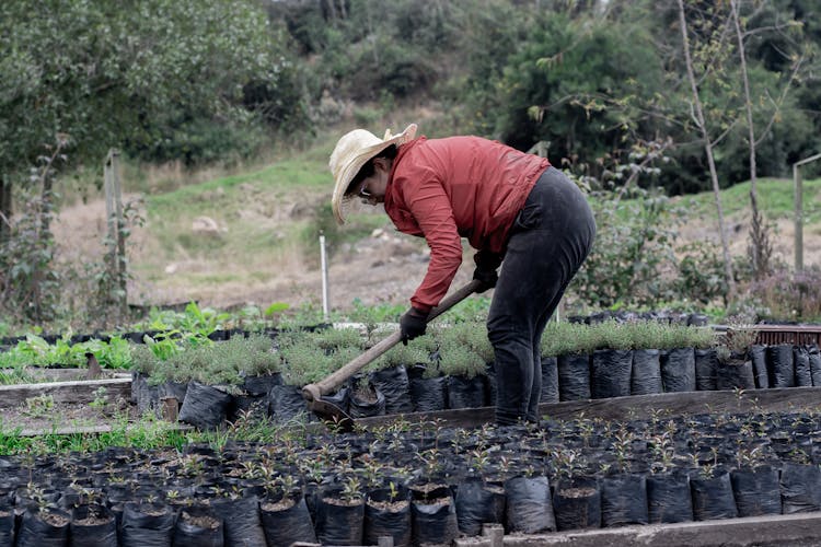 A Woman Working In A Garden