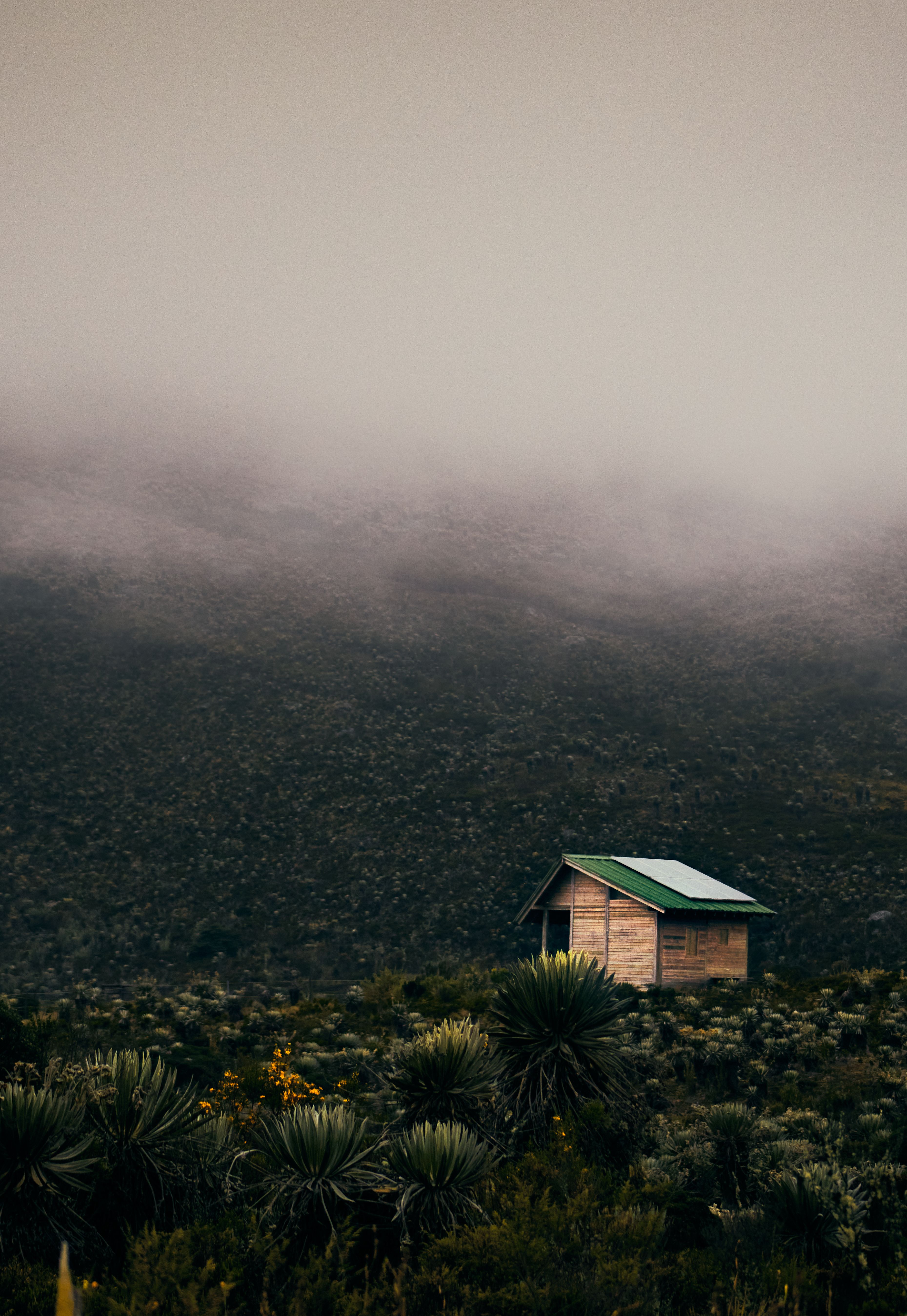 Misty mountain scene featuring a solitary wooden cabin amidst lush greenery in Sumapaz, Colombia.