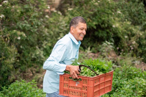 Foto profissional grátis de agricultor, alegre, caixa de plástico