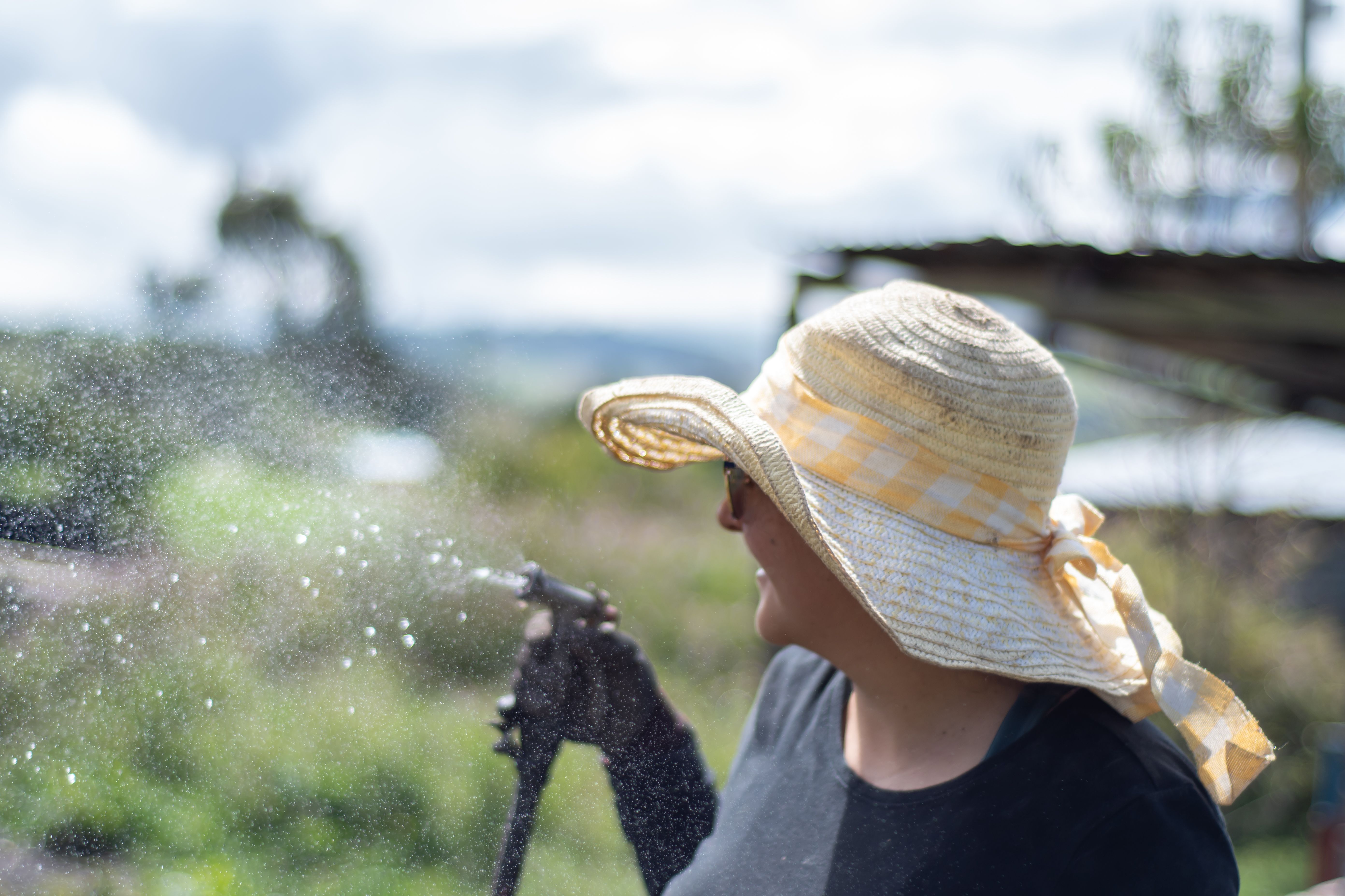 A woman wearing a sun hat enjoys watering her garden on a sunny day.