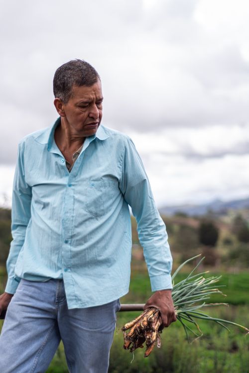 Free Portrait of a male farmer holding freshly harvested vegetables with a blurred countryside background. Stock Photo