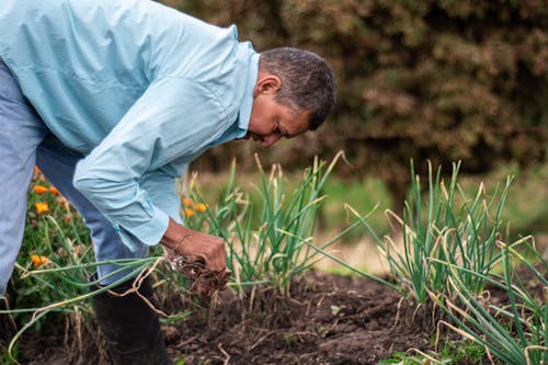 Základová fotografie zdarma na téma denimové kalhoty, farma, farmář