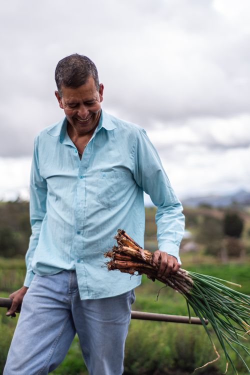 Free A smiling farmer holding freshly harvested onions on a cloudy day in the field. Stock Photo