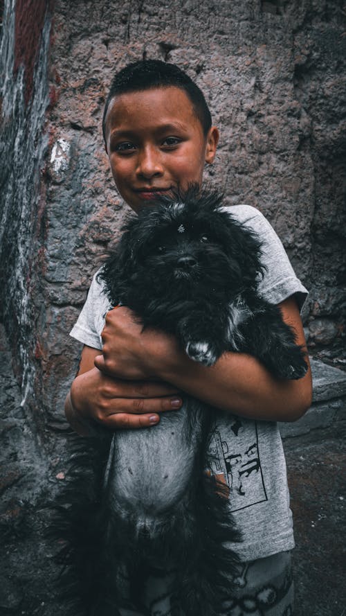 Foto profissional grátis de animal, animal de estimação, cachorro