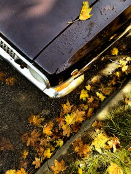 Vintage black car with fallen autumn leaves on wet pavement, overhead view.