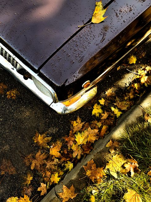Vintage black car with fallen autumn leaves on wet pavement, overhead view.