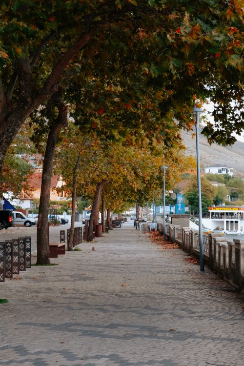 Free Tranquil autumn path lined with trees in a quaint European town. Serene and inviting. Stock Photo