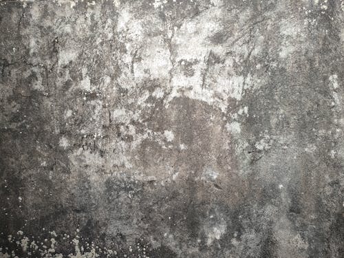 A Close-Up Shot of a Concrete Wall