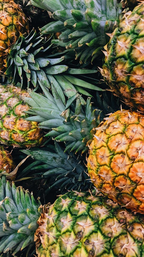 Free A Group of Green and Yellow Pineapple Fruits Stock Photo