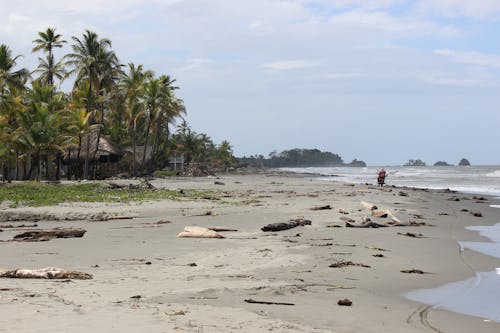 Foto d'estoc gratuïta de Costa, ennuvolat, mar