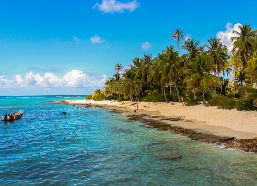 Scenic view of a tropical beach with palm trees and clear blue waters in San Andrés, Colombia.