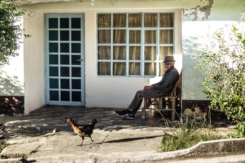 Free Elderly man sitting by a doorway in Buesaco, Colombia, with a chicken nearby. Stock Photo