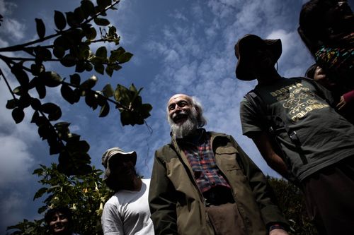 Free A diverse group enjoying an outdoor garden community event under a blue sky in Bogotá. Stock Photo