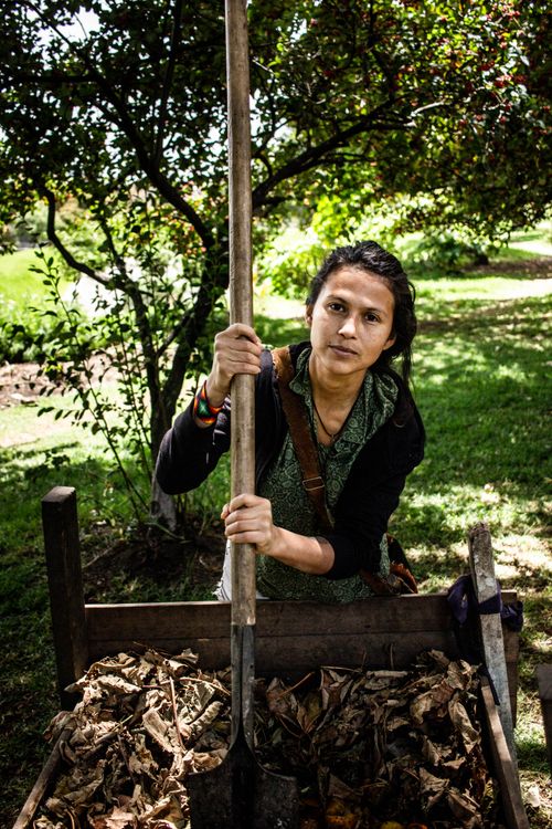 Free A woman tending to a garden using a spade in a sunlit setting in Bogotá, Colombia. Stock Photo